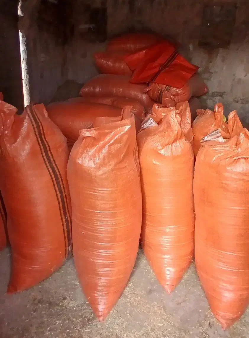 کاه گندم|لوازم جانبی حیوانات|گتوند, |دیوار