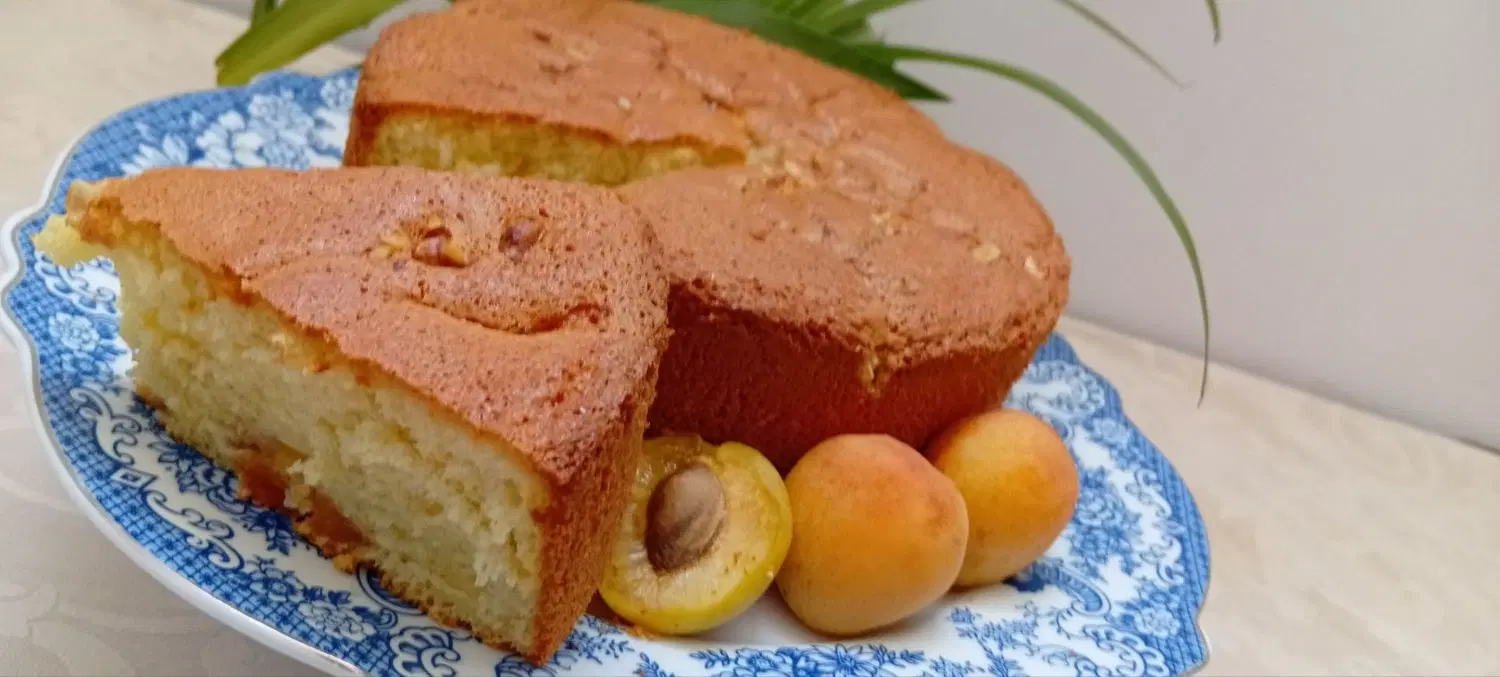 کیک خانگی سالم برای دانش آموزان و دانشجویان|خوردنی و آشامیدنی|تبریز, |دیوار