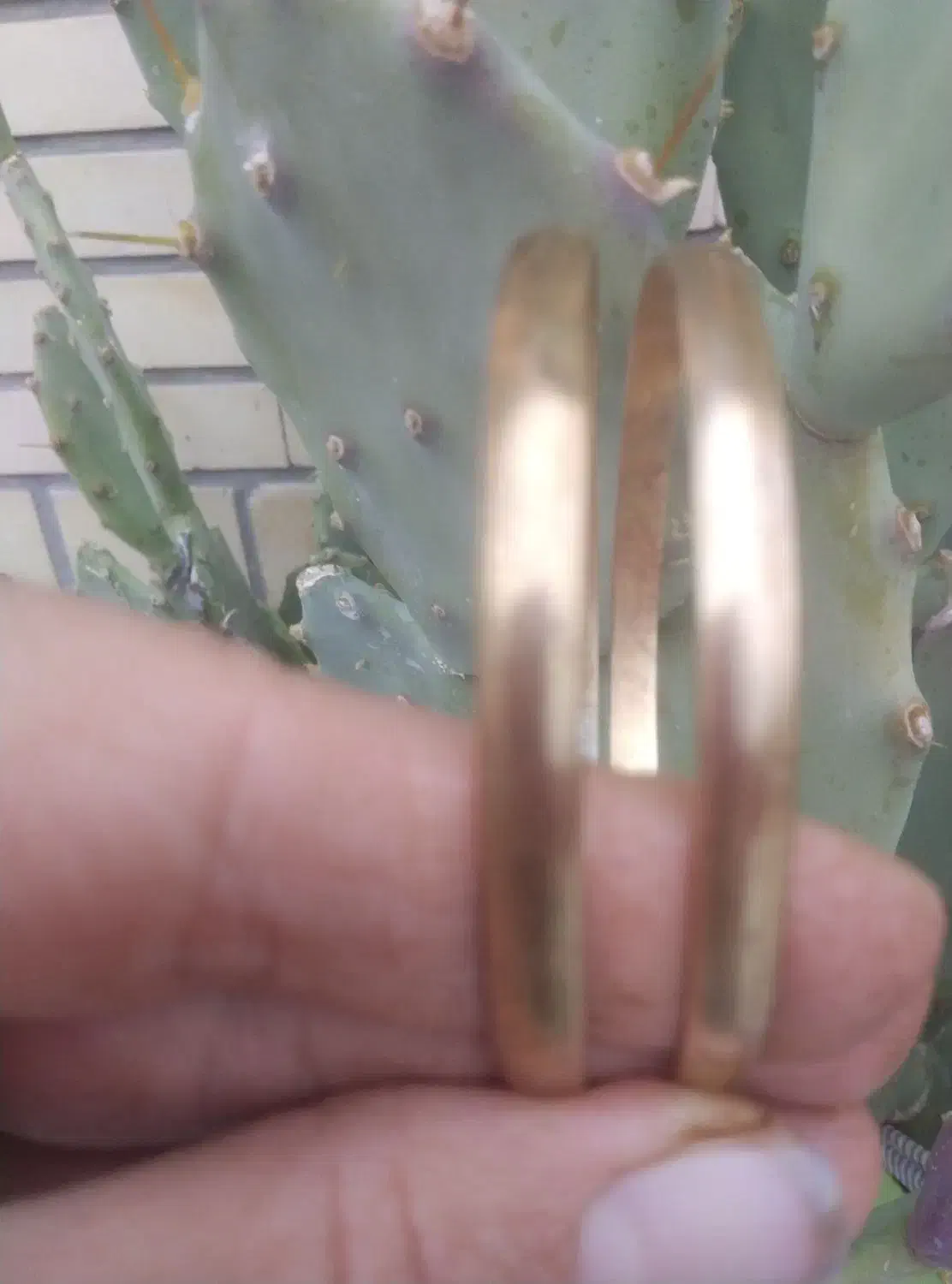 النگو برنجی|بدلیجات|بیرجند, |دیوار