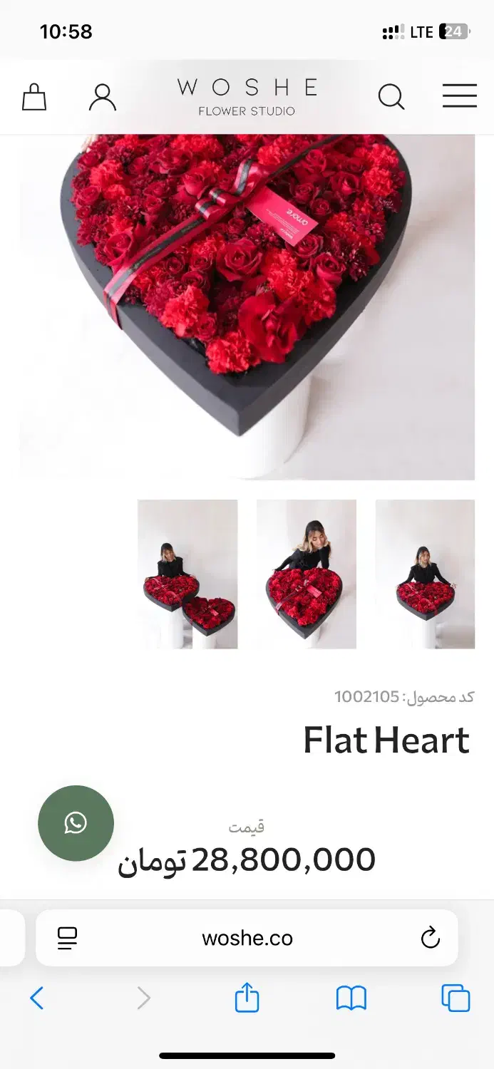 گل ووشه|گل و گیاه طبیعی|تهران, سازمان برنامه شمالی|دیوار