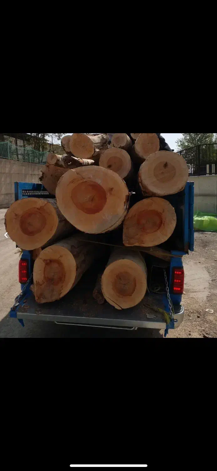 خرید چوب،بریدن انواع درخت،هرس درخت|خدمات باغبانی و درختکاری|صدرا-فارس, فاز ۱|دیوار