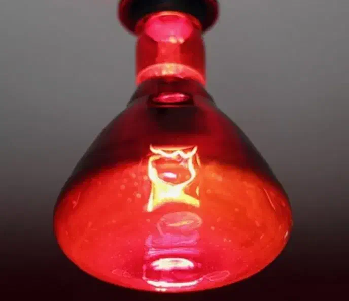 مجموعه کامل فیزیوتراپی در منزل|آرایشی، بهداشتی، درمانی|اسدآباد, |دیوار