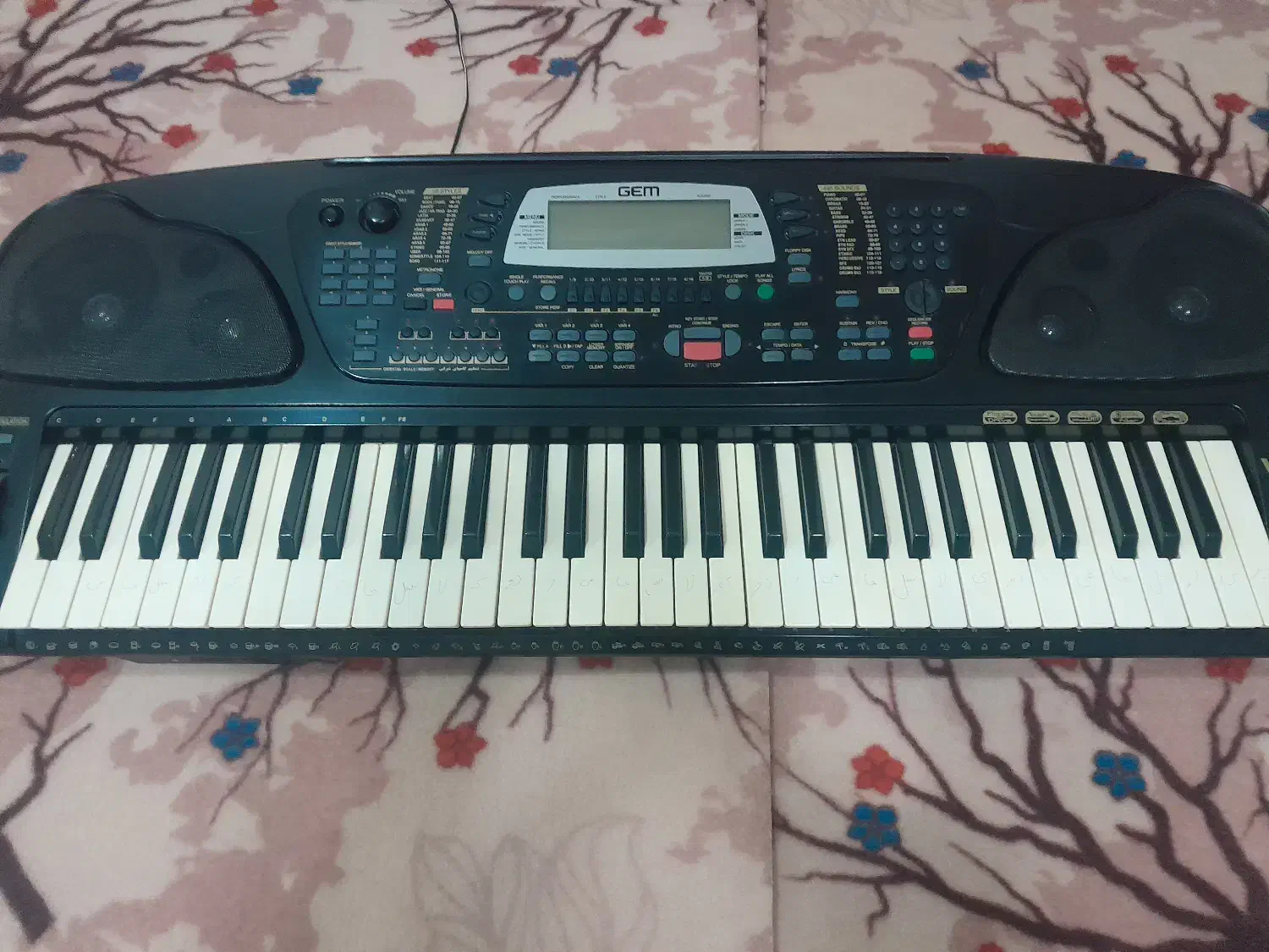 اورک GEM بندری1|پیانو، کیبورد، آکاردئون|بناب, |دیوار