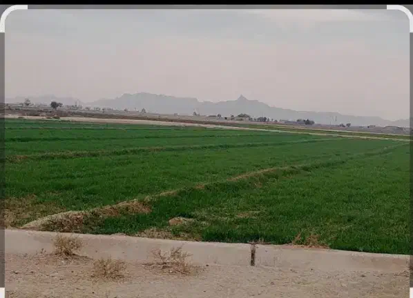 اجاره زمین25هکتار با چاه عمیق|اجارهٔ دفتر صنعتی، کشاورزی، تجاری|خاوه, |دیوار