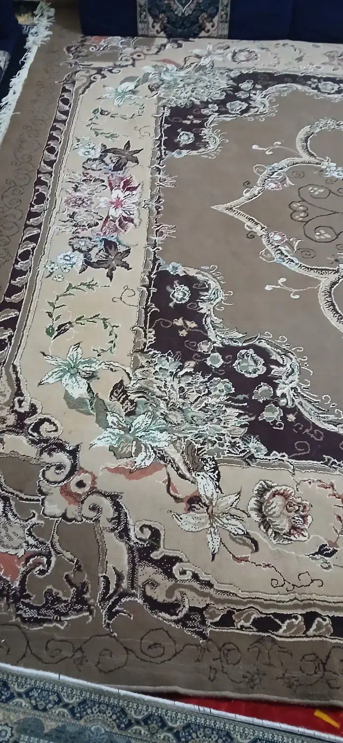 قالی تمیز|فرش|خرمشهر, |دیوار