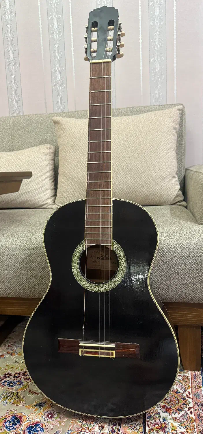 گیتار آریا|گیتار، بیس، امپلیفایر|تهران, پرستار|دیوار