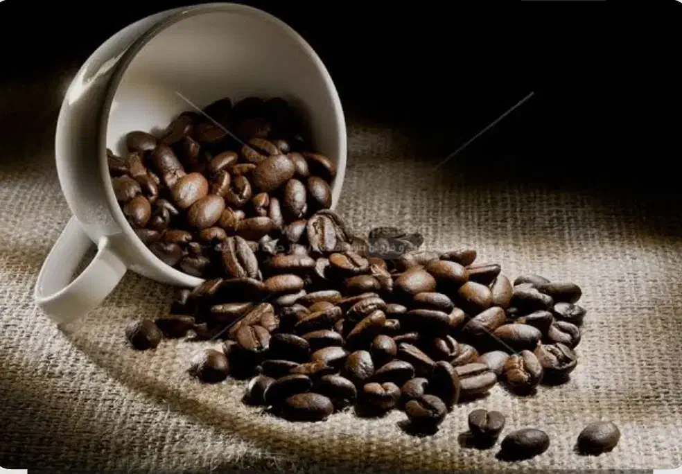 پخش قهوه  و تمام لوازم و اکسسوری  کافه|کافی‌شاپ و رستوران|لاهیجان, شیشه گران|دیوار