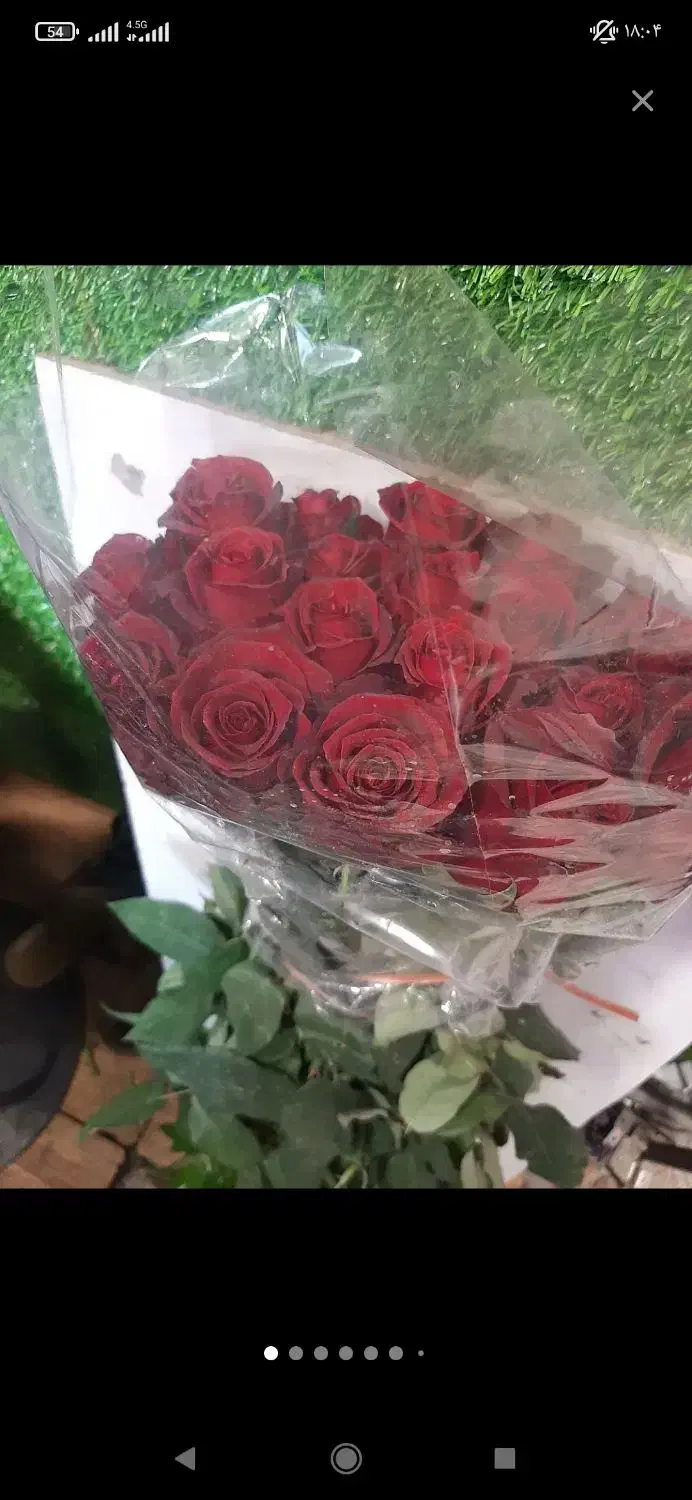 گل رز طبیعی .ودسته گل طبیعی با گل رز وگل های خوشگل|گل و گیاه طبیعی|کرج, حصارک پایین|دیوار