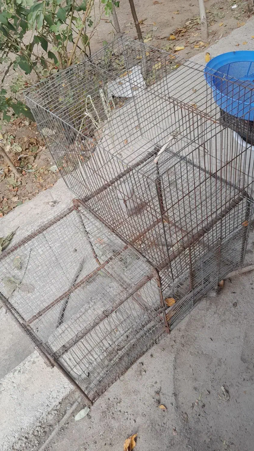 سه تا قفسه با قیمت مناسب|لوازم جانبی حیوانات|مشگین شهر, |دیوار