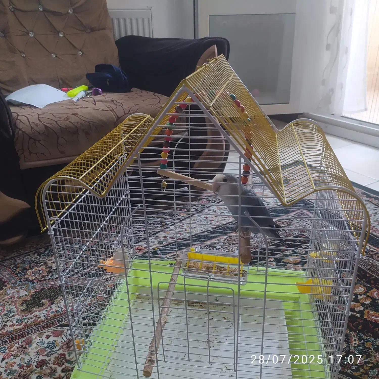 قفس پرنده بسیار زیبابه همراه وسایل|لوازم جانبی حیوانات|فولادشهر, مسکن مهر فولادشهر|دیوار