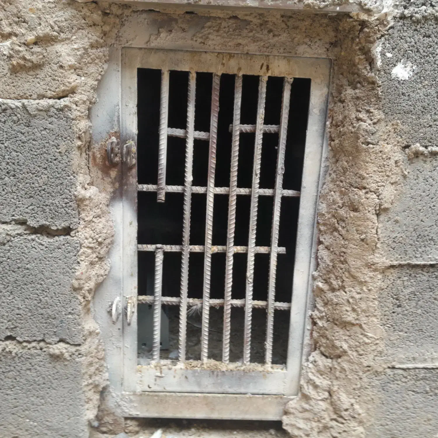 درکله|پرنده|خرمشهر, |دیوار