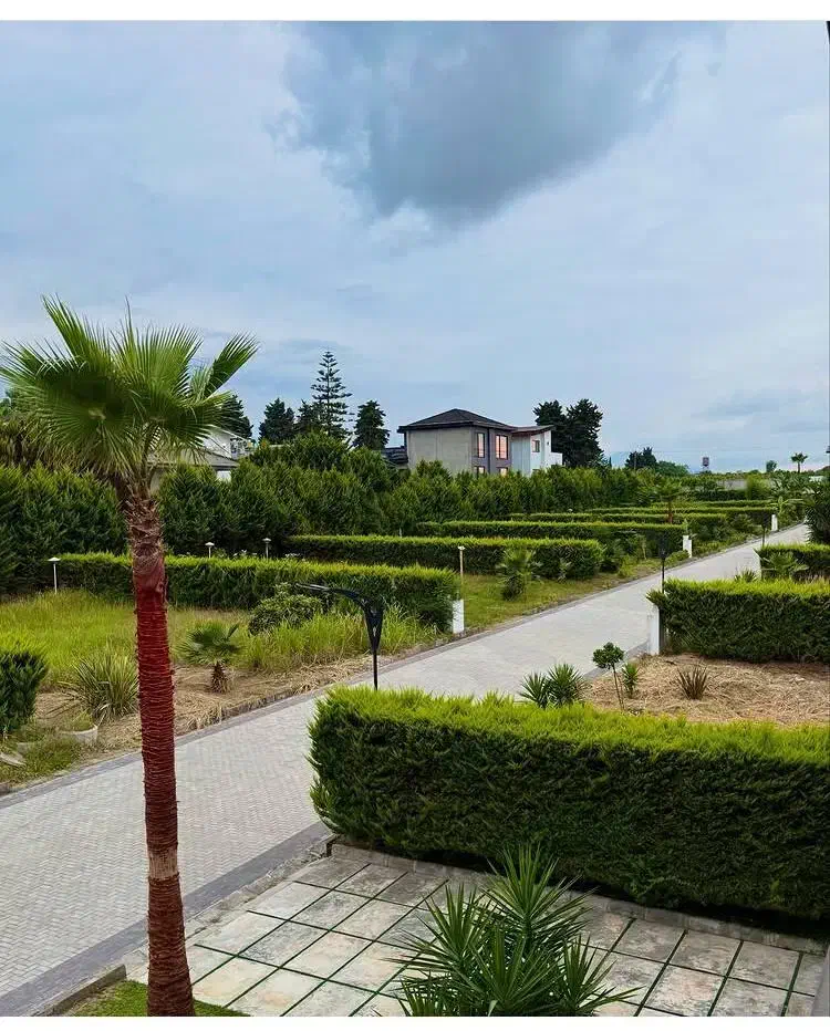 شهرک تاپ لول،چسب جنگل ،ازین بهتر نداریم|فروش زمین و ملک کلنگی|چمستان, |دیوار