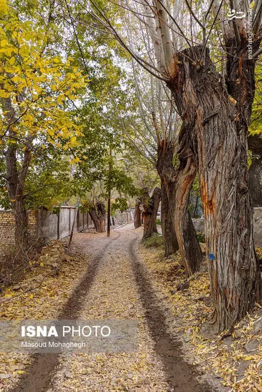 تور یک روزه شهمیرزاد|تور و چارتر|شهمیرزاد, |دیوار