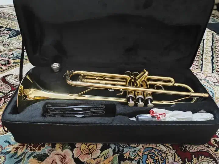 ساز نو نو بدون استفاده|سازهای بادی|تهران, دکتر هوشیار|دیوار