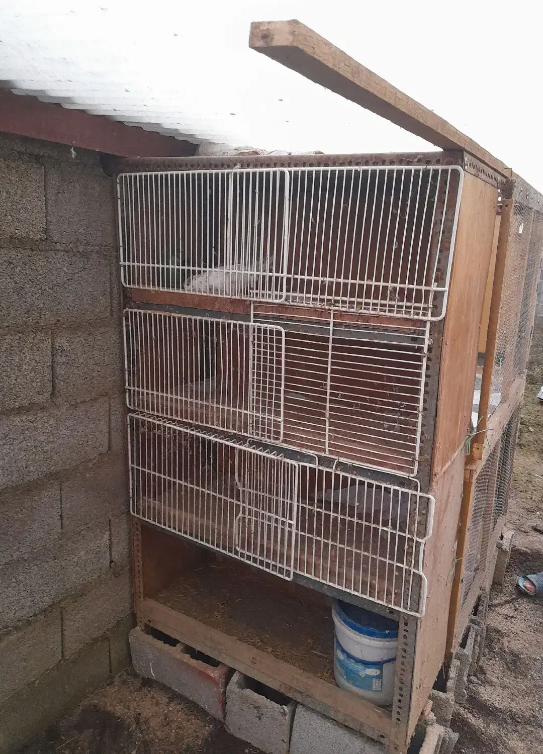 لانه کبوتر|لوازم جانبی حیوانات|تولم شهر, |دیوار