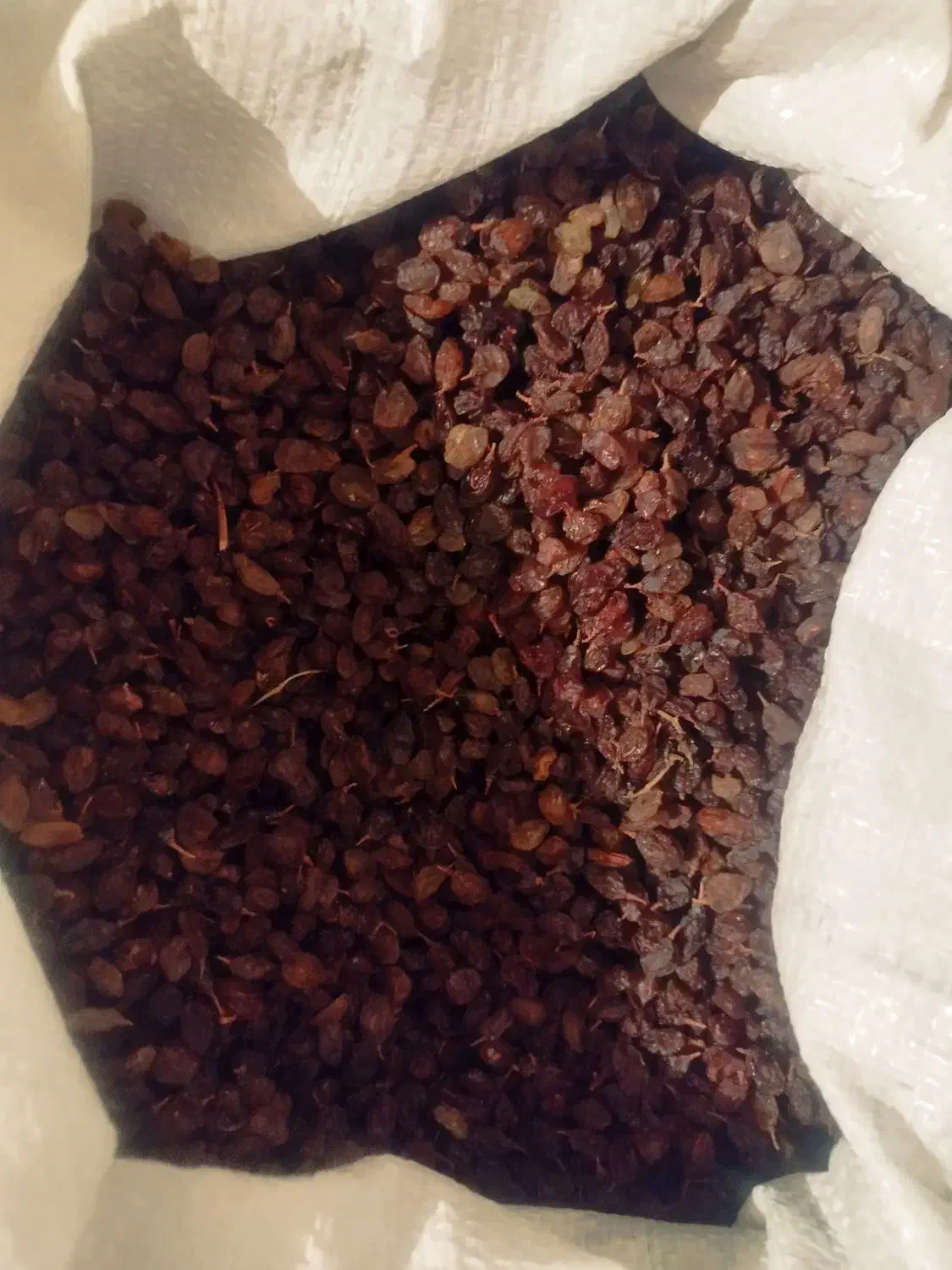 کشمش آفتابی اعلا|خوردنی و آشامیدنی|فرخشهر, |دیوار