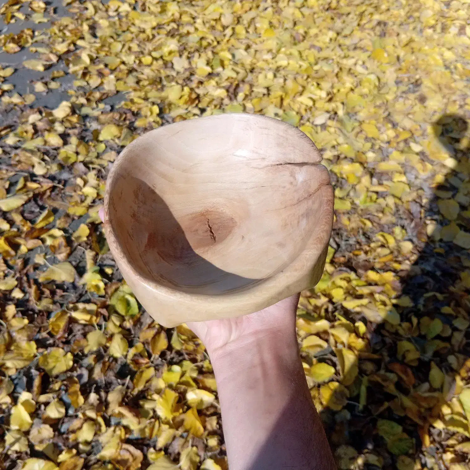 ظرف چوبی|ظروف سرو و پذیرایی|شاندیز, |دیوار