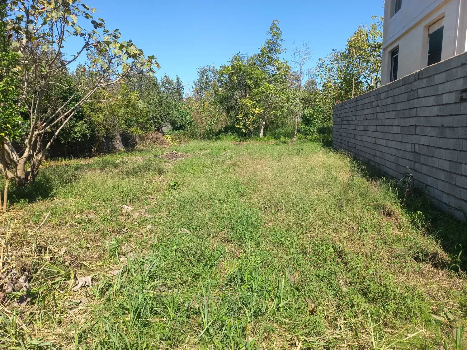 زمینی به متراژ۵۰۰مترمربع|فروش زمین و ملک کلنگی|ورزنه, |دیوار