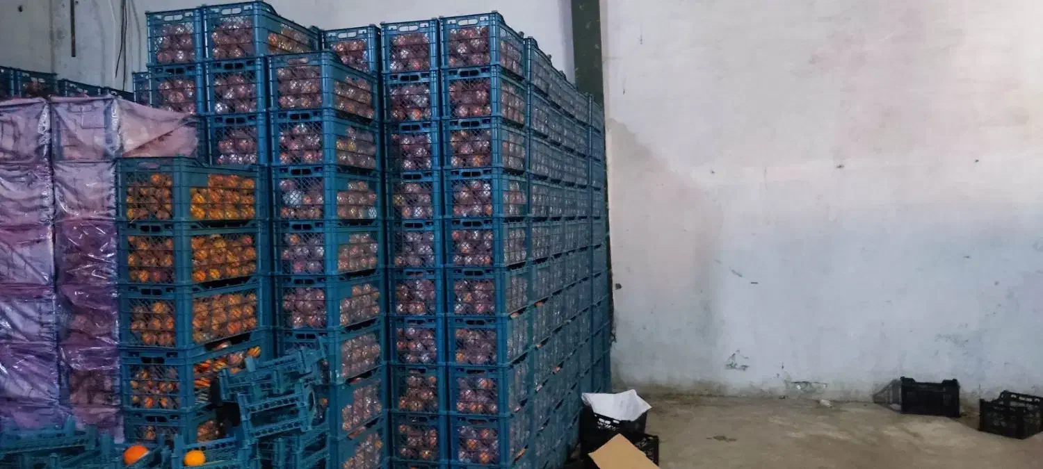 سبد|ظروف نگهدارنده، پلاستیکی، یک‌بارمصرف|سورک, |دیوار