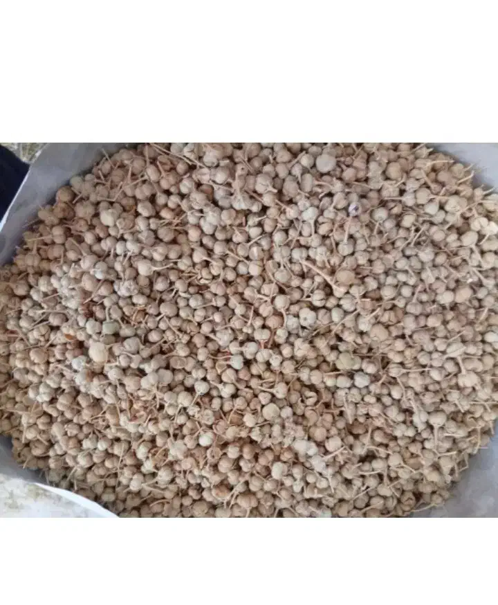 اسپند|صنایع دستی و سایر لوازم تزئینی|فسا, |دیوار