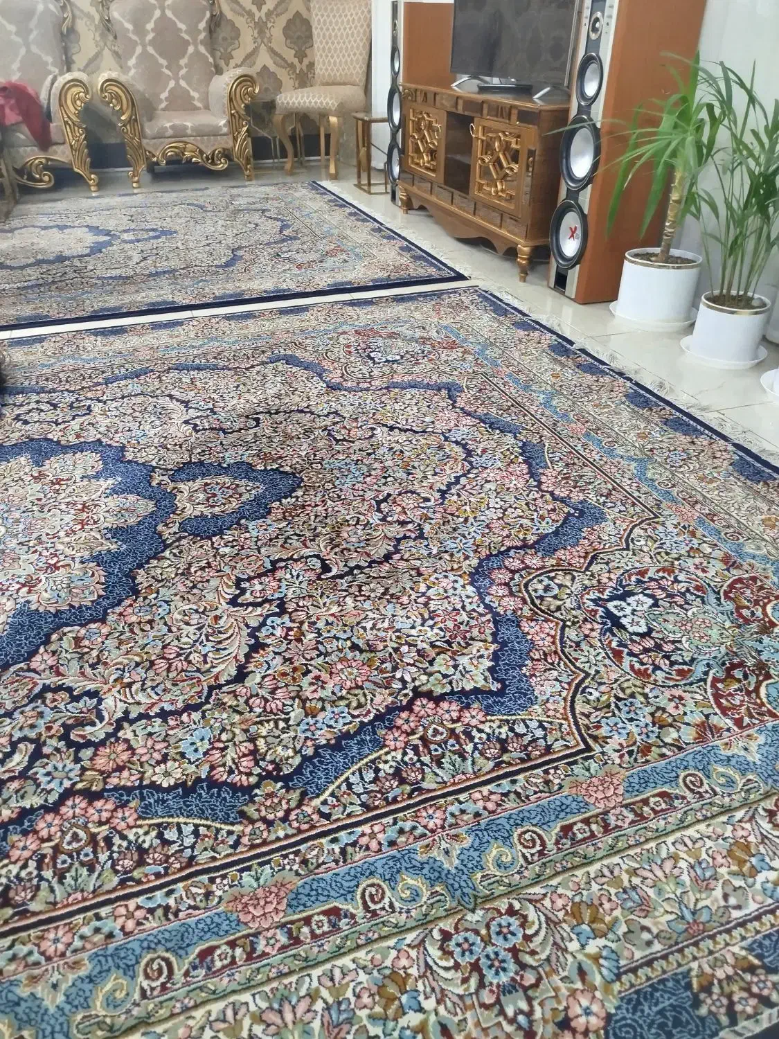 فرش درجه یک مشهد|فرش|تربت‌حیدریه, شهرک ولیعصر|دیوار