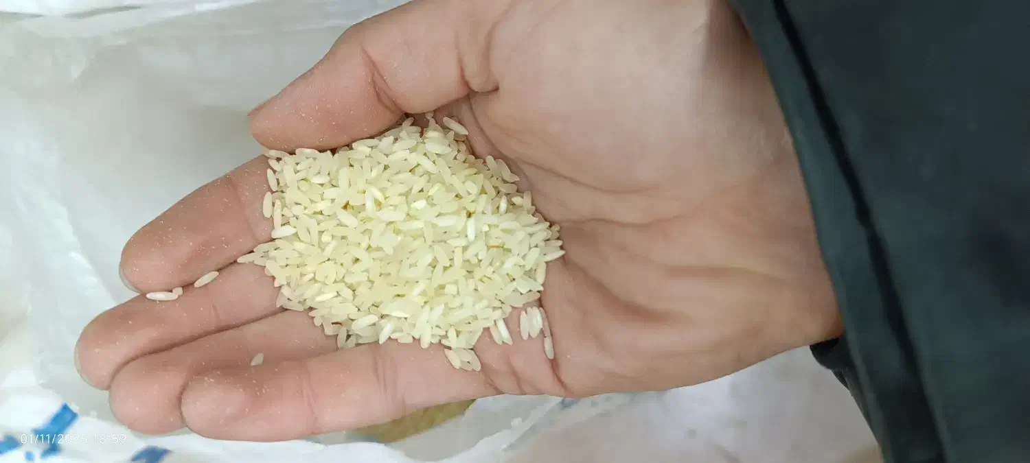 عنبربو معطر|خوردنی و آشامیدنی|شاهینشهر, فردوسی|دیوار