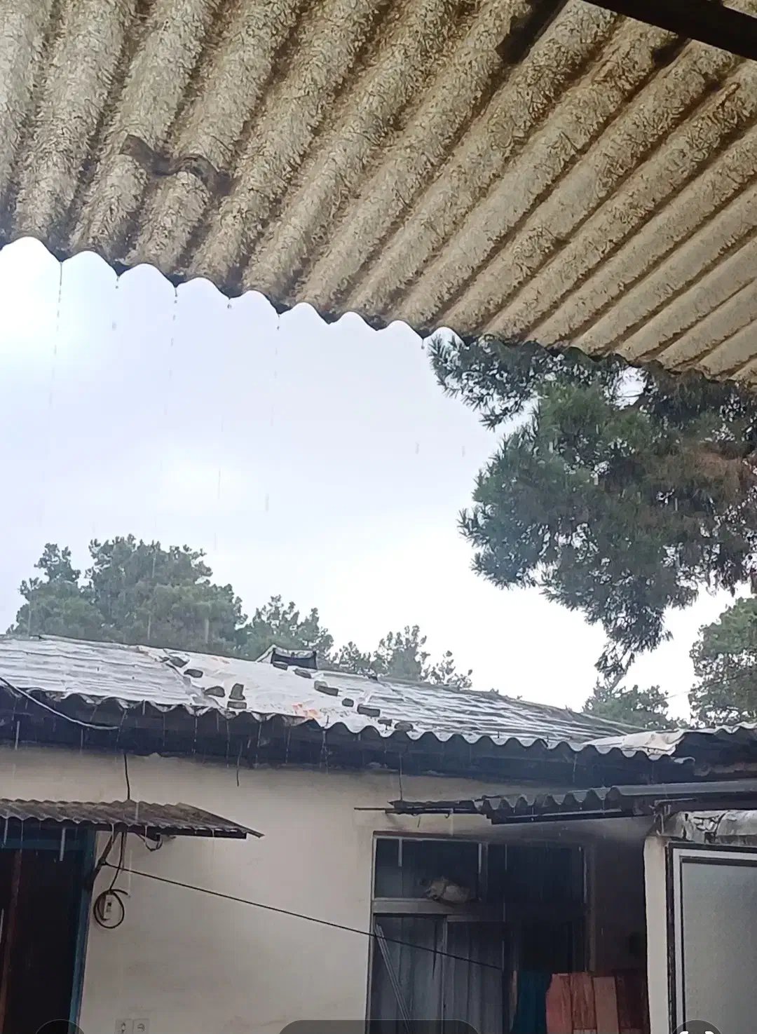 وسایل منزل|حراج|علیآباد کتول, |دیوار