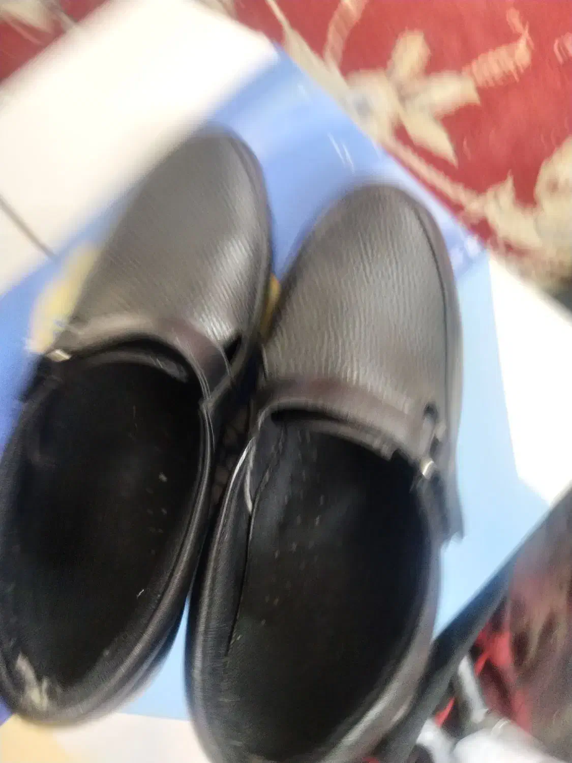 کفش|کیف، کفش، کمربند|مشهد, چاهشک|دیوار