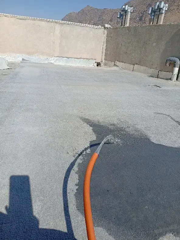 پالاز موکت|موکت|خرمآباد, |دیوار