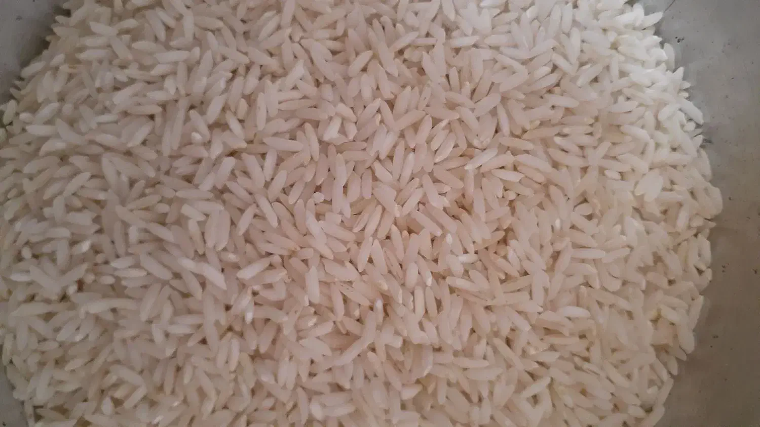 برنج ایرانی|خوردنی و آشامیدنی|نورآباد, |دیوار