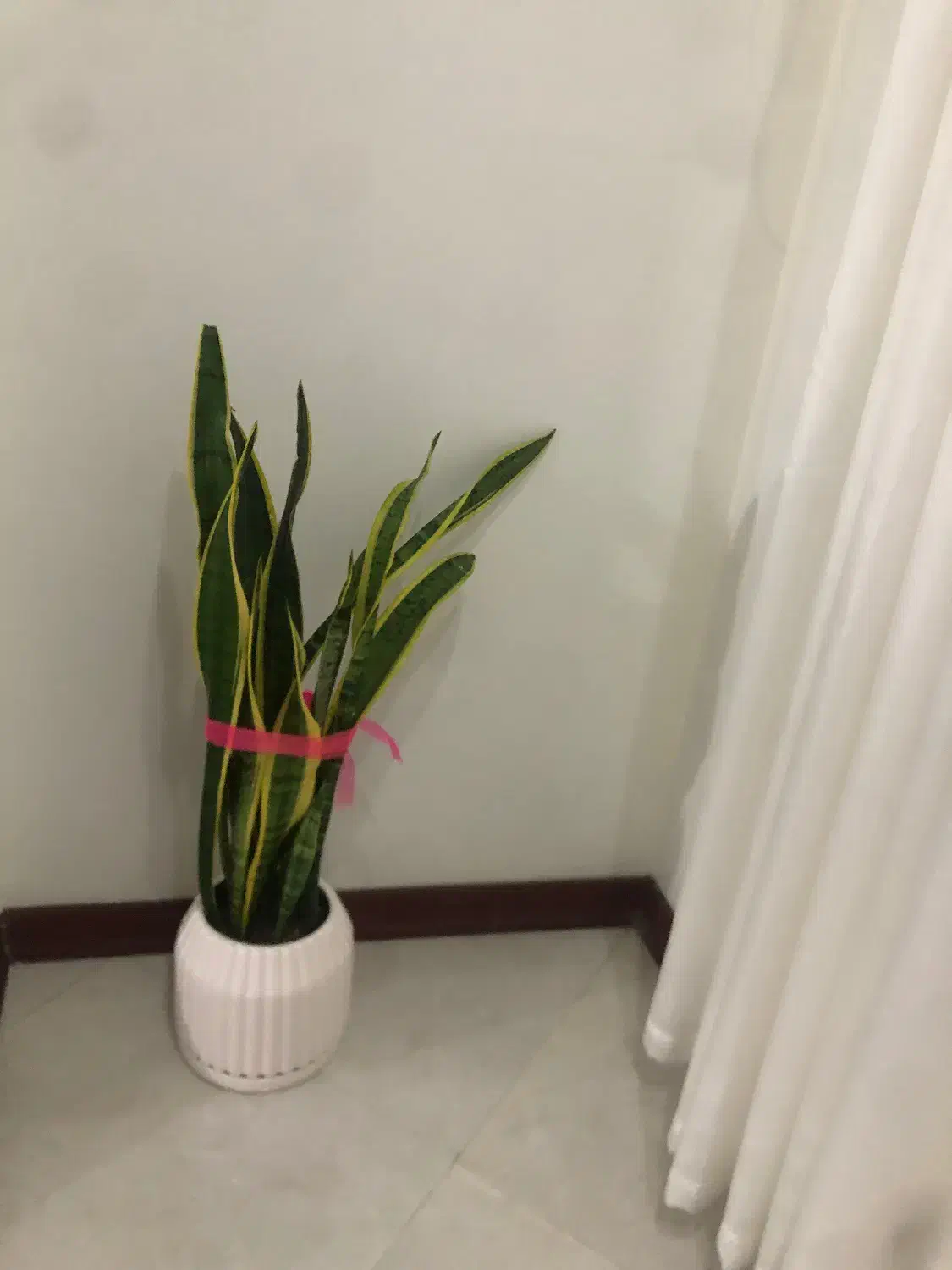 بوفه چوبی در حد نو کار خاص اصفهان و‌گل طبیعی|بوفه، ویترین، کنسول|تهران, صادقیه|دیوار