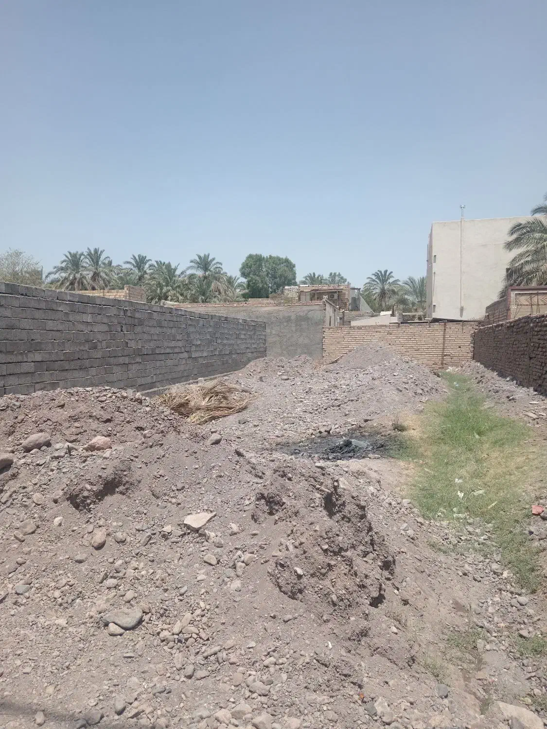 زمین باغی مهداب چمران|فروش زمین و ملک کلنگی|بم, |دیوار