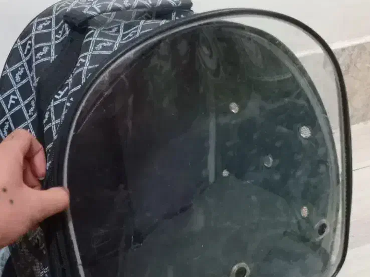 کوله پشتی حمل سگ و گربه و پرنده|لوازم جانبی حیوانات|اندیشه, اندیشه فاز ۴|دیوار