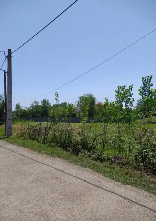 زمین ۱۰۰ متری|فروش زمین و ملک کلنگی|رشت, لاکان|دیوار