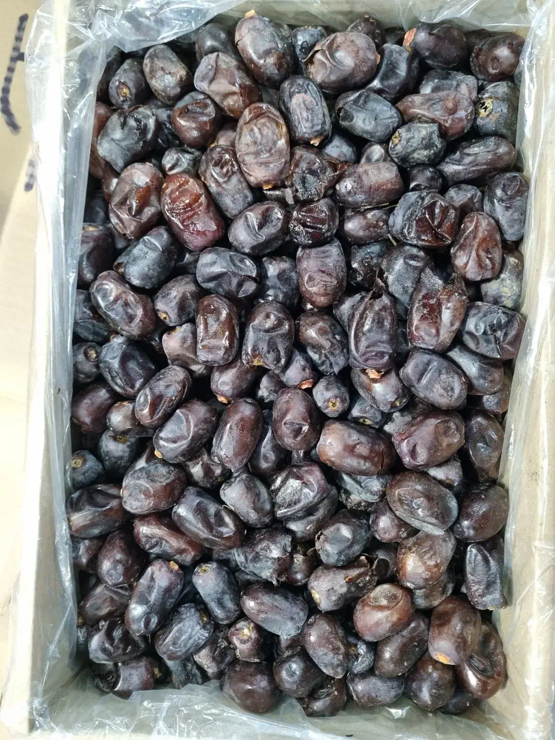 خرما|عمدهفروشی|جیرفت, |دیوار