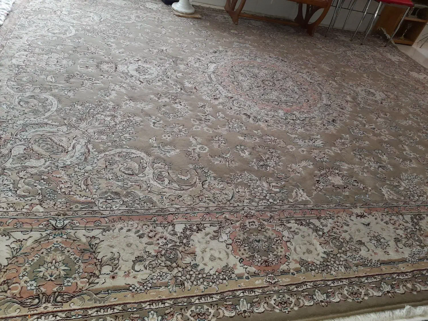 فرش ۱۲متری|فرش|داراب, |دیوار