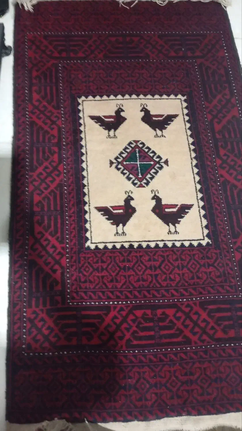 قالی دست بافت|فرش|مشهد, کوی المهدی|دیوار