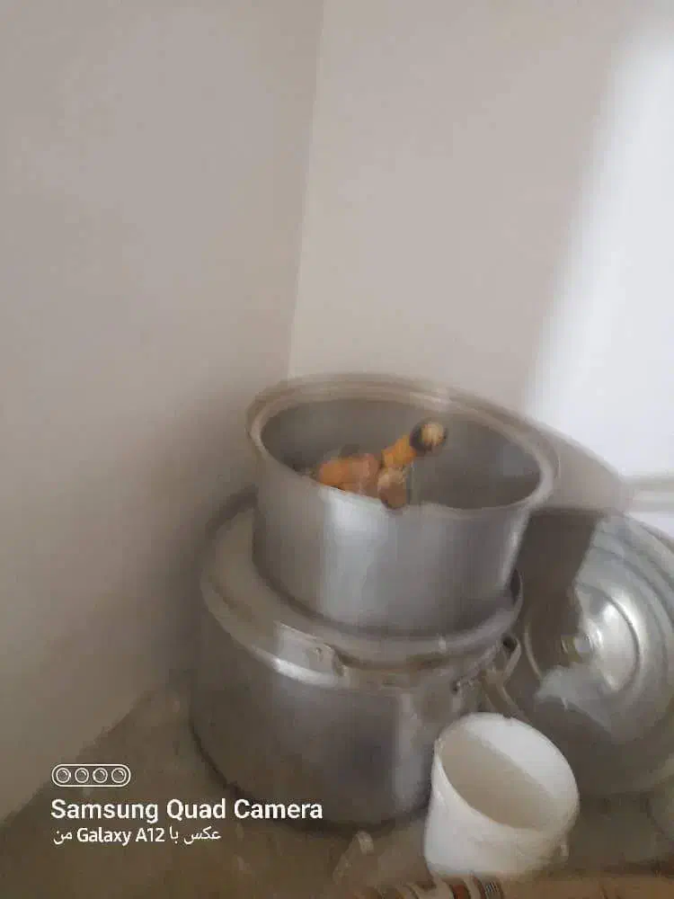 فروش لوازم اشپز خانه رستوران|کافی‌شاپ و رستوران|رباط‌کریم, کاظم‌آباد|دیوار