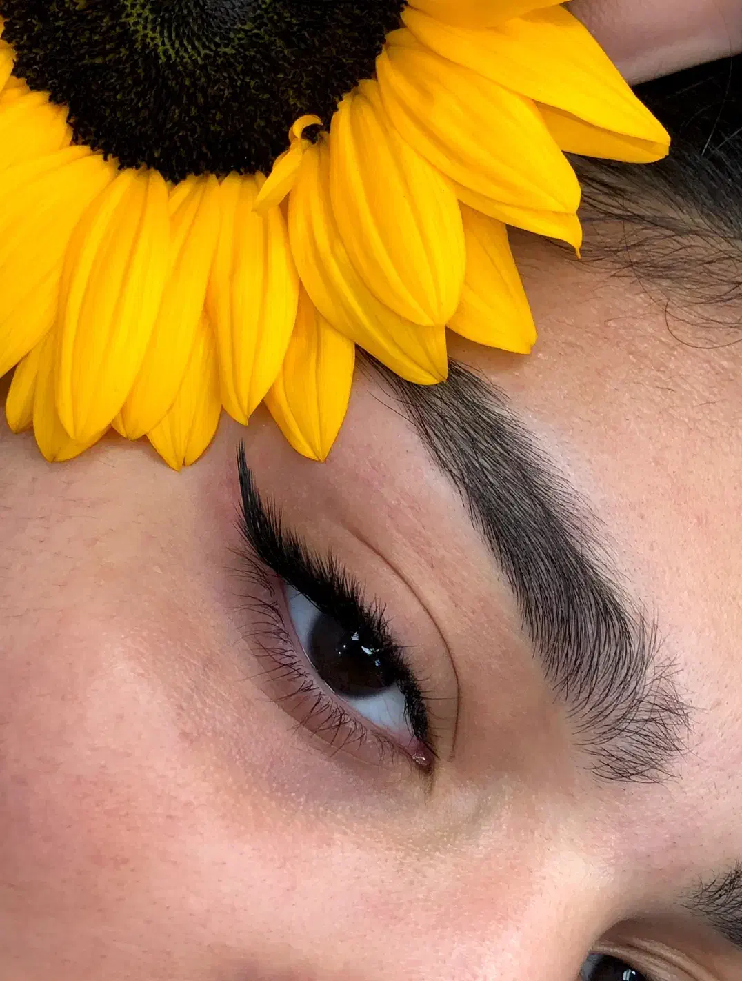 تمامی خدمات اکستنشن مژه و لیفت ابرو  با قیمت ویژه|خدمات آرایشگری و زیبایی|چمستان, |دیوار