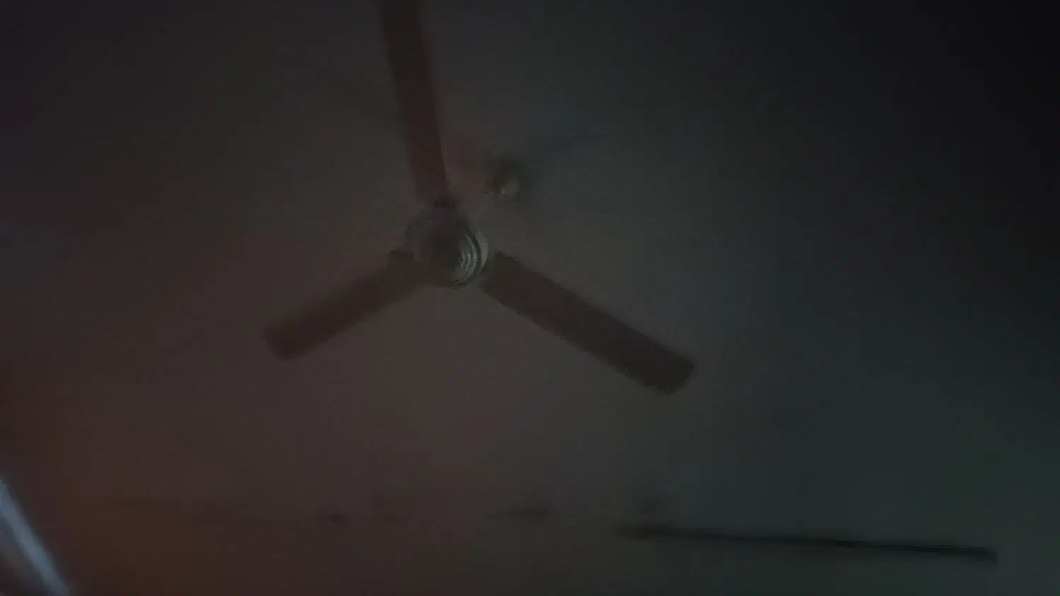 خانه یا همخانه|اجارهٔ خانه و ویلا|قم, ارم|دیوار