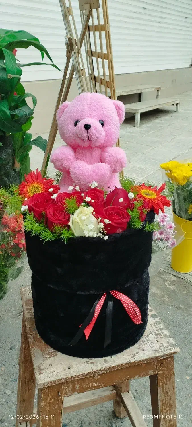 گل عروسک|گل و گیاه طبیعی|بیرجند, |دیوار