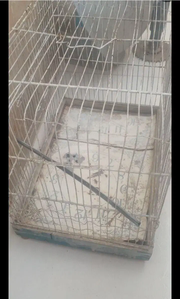 ۲ تا قفس متوسط و بزرگ|حیوانات مزرعه|مشهد, بلال|دیوار