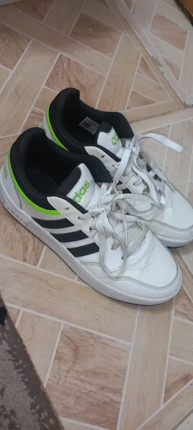 کتونی آدیداس اورجینال اصلی|کیف، کفش، کمربند|لاهیجان, قیام|دیوار