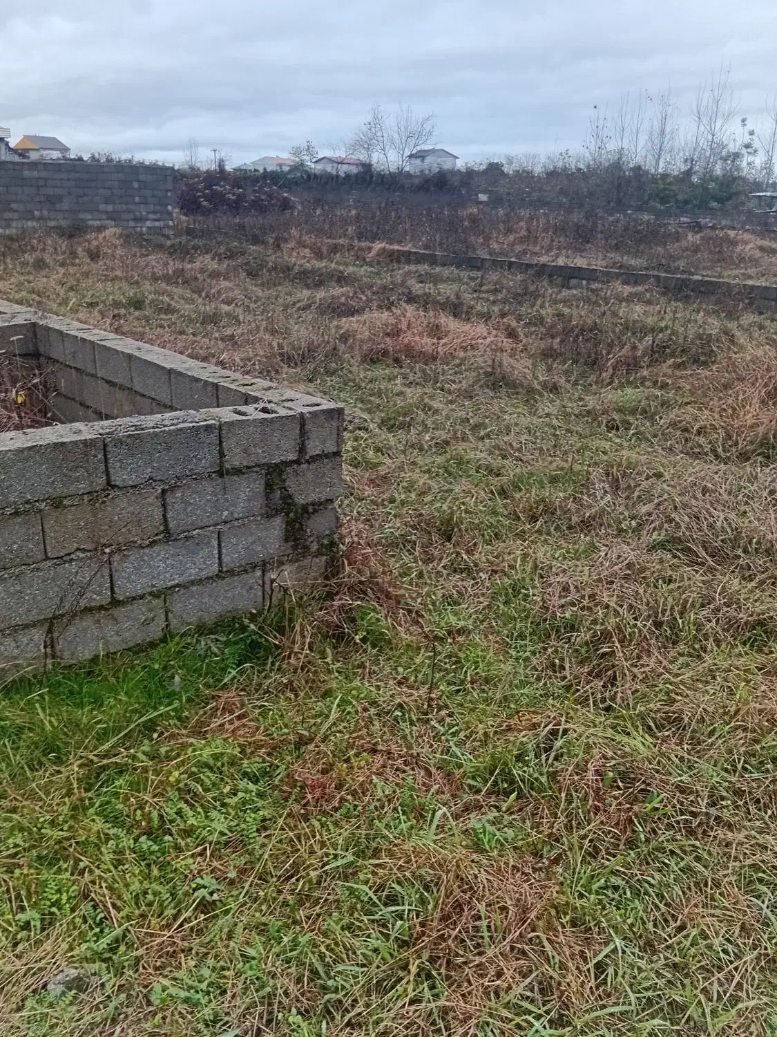 زمین باغی داخل شهر قابل ساخت منطقه ویلا سازی|فروش زمین و ملک کلنگی|رضوانشهر, |دیوار