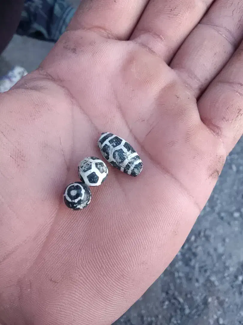 خرید و فروش کرمان هرمزگان|گردهمایی و همایش|منوجان, |دیوار