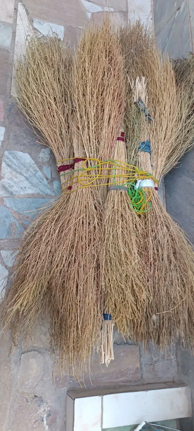 حراج جاروی محلی|لوازم نظافت|بیرجند, |دیوار