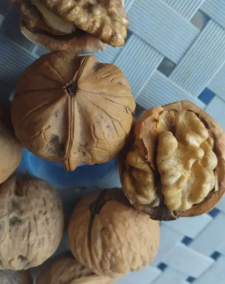 قئمت شکن|صوتی و تصویری|پاکدشت, پاکدشت (مامازند)|دیوار