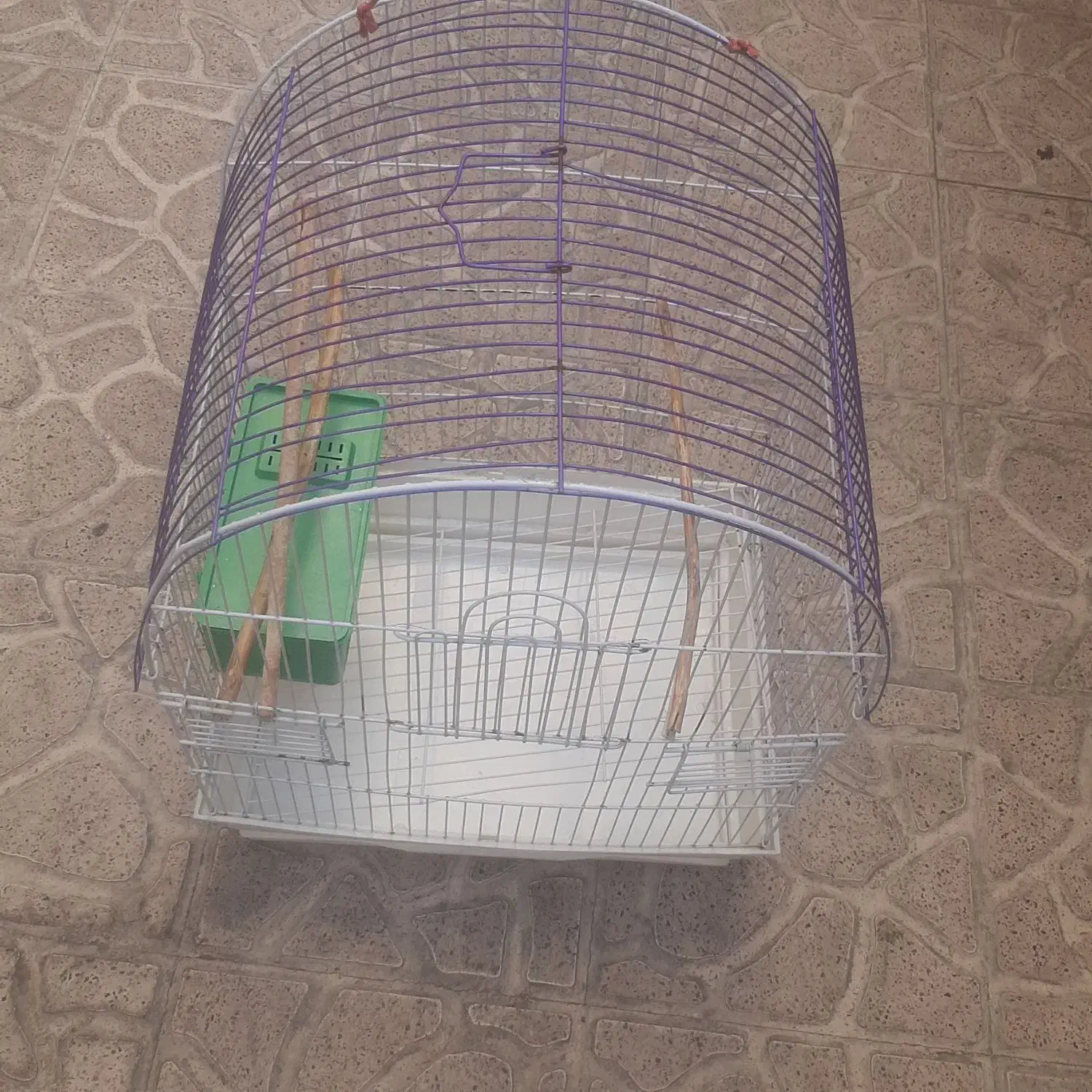 قفس همستر و    مرغعشق عروس هلندی|لوازم جانبی حیوانات|تهران, شهرک دریا|دیوار