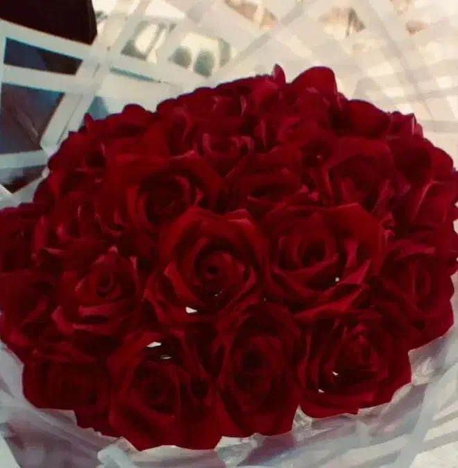 گل فروش|گل مصنوعی|نورآباد, |دیوار