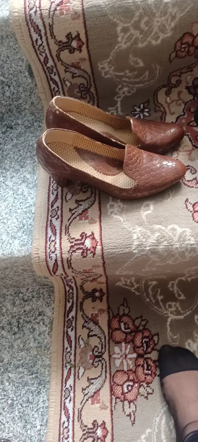 کفش وکیف|کیف، کفش، کمربند|میاندوآب, |دیوار